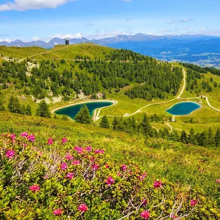Stoagas Waidblick-2