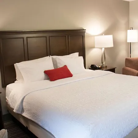 Hampton Inn Tuscaloosa-University-3