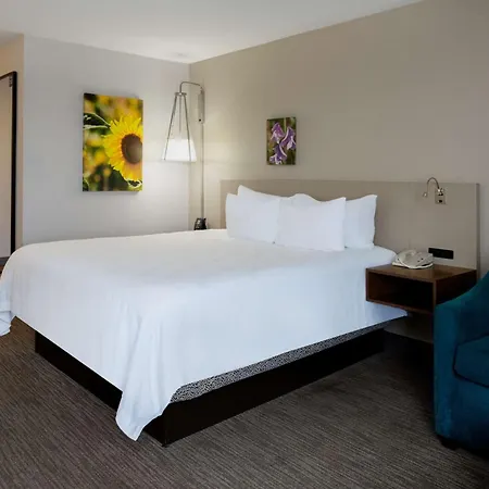 Hilton Garden Inn Folsom-2