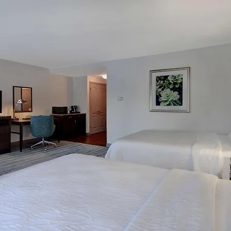 Hilton Garden Inn Fort Myers-3