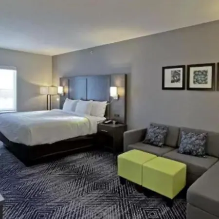 Comfort Inn & Suites Balch Springs - Se Dallas-2