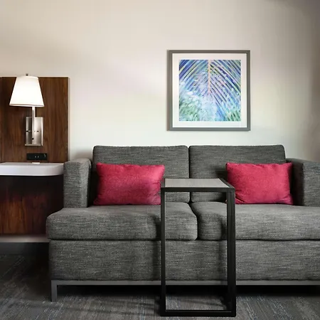 Hampton Inn Pinellas Park St Petersburg, Fl-3
