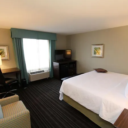 Hampton Inn & Suites By Hilton St. John'S Airport-3