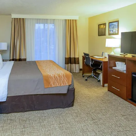 Comfort Inn Salt Lake City Downtown-3