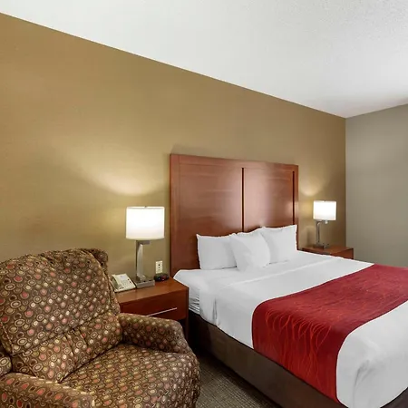 Comfort Inn & Suites Rapid City South - Mt Rushmore Gateway-2