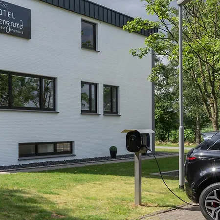 Hotel Wiesengrund-2