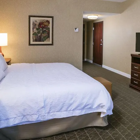 Hampton Inn & Suites Toledo-Perrysburg-3
