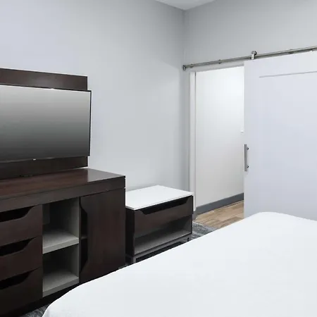 Hampton Inn & Suites Atlanta-Downtown-3