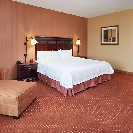 Hampton Inn & Suites Austin South Buda-3