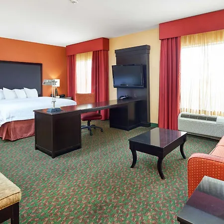 Hampton Inn & Suites Waco-South-3