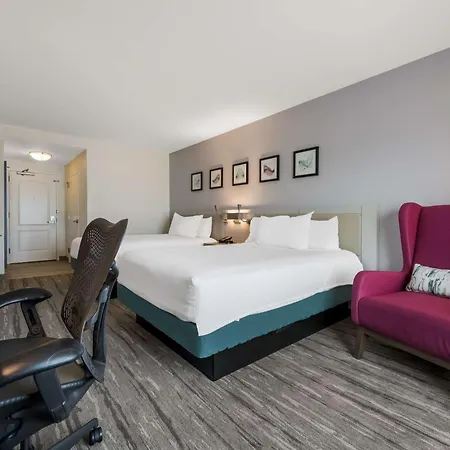Hilton Garden Inn Rockford-3