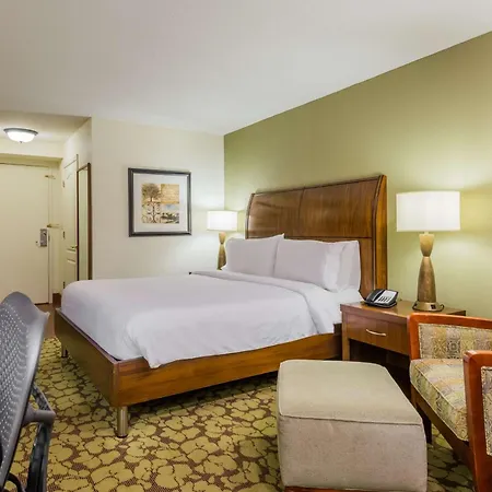 Hilton Garden Inn Atlanta North/Alpharetta-3
