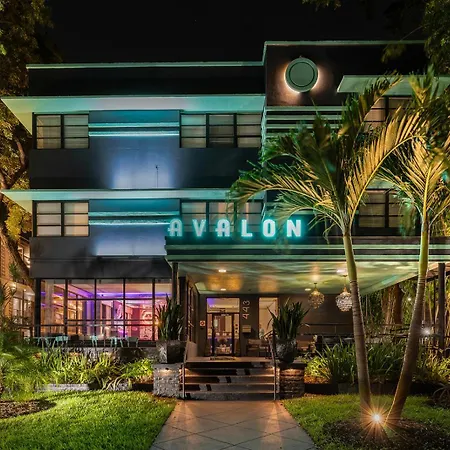 Avalon Hotel Downtown St. Petersburg-3