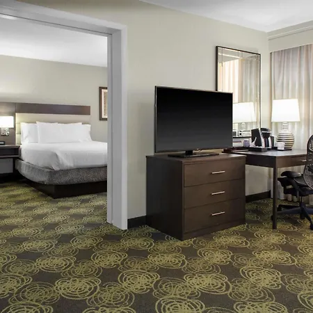 Hilton Garden Inn Reagan National Airport-3