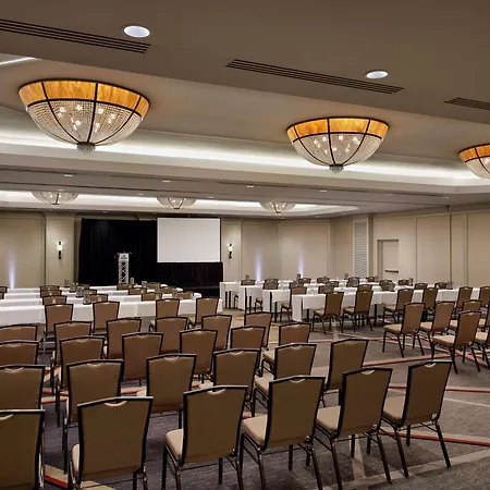 Hilton Arlington-3