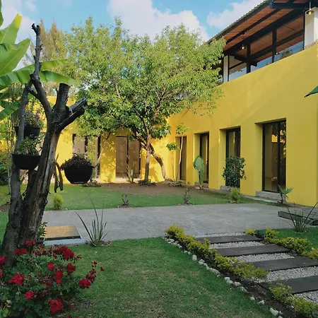 Jardines de Luz-3