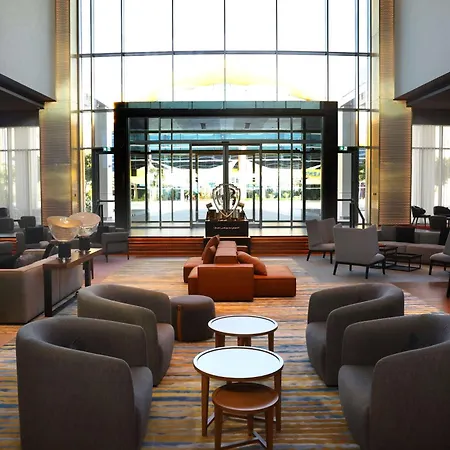 The Wb Abu Dhabi, Curio Collection By Hilton-2
