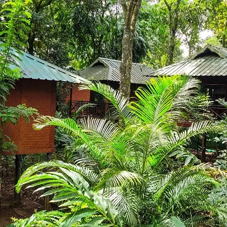 Monsoon Retreats Ecostay- Treehouse-3