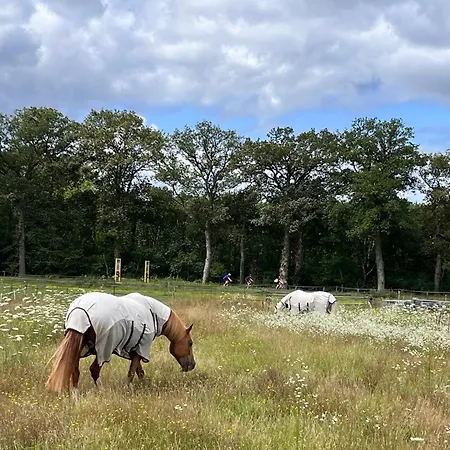 Bed&Breakfast De Paalberg-3