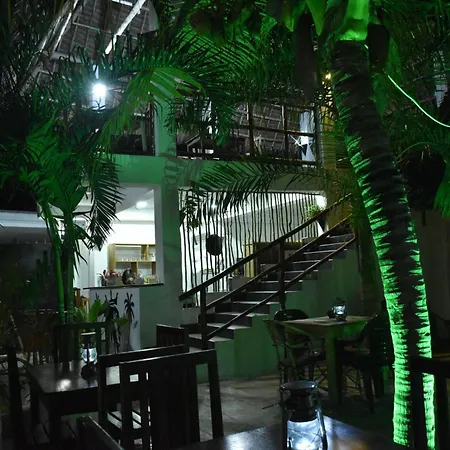 Reyna Resort By Cezere The Palm-2
