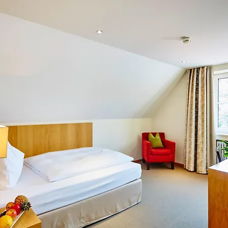 Hotel Falken-2