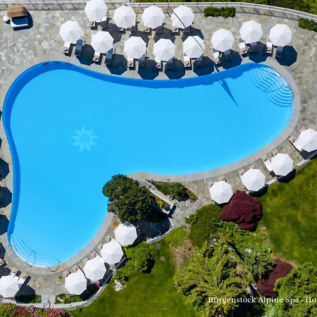 Buergenstock Hotel & Alpine Spa-3