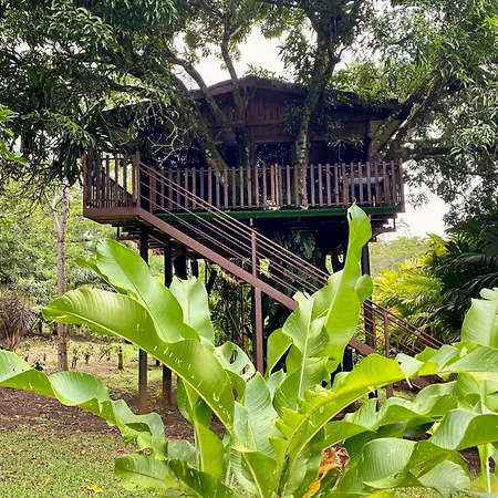 Hotel Heliconias Nature Inn & Hot Springs-2