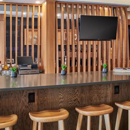 Springhill Suites By Marriott Detroit Dearborn-3