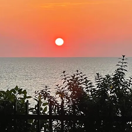 The First Place Yogaresort, Odayam-2