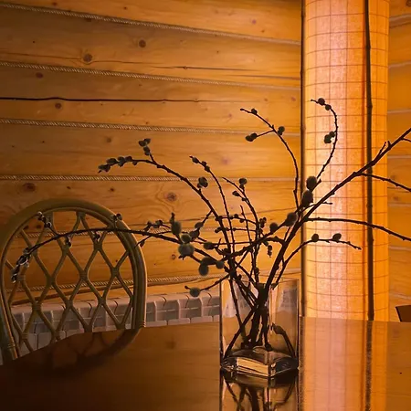 Bukovynskiy Zatyshok Chalet-3