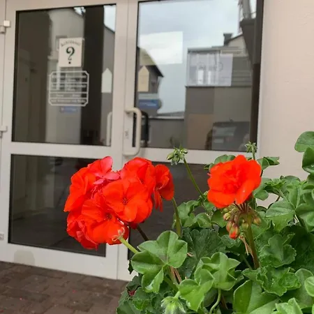 Hotel Wittlicher Hof-3