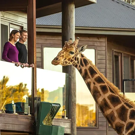 Jamala Wildlife Lodge-2