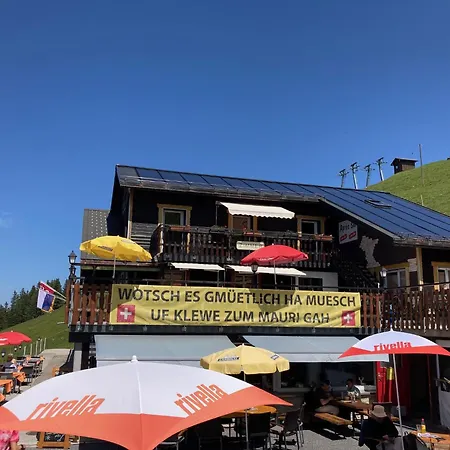 Ausflugs-Ski-Pistenhotel Klewenstock AUTO FREI nur mit der Pendelbahn erreichbar auf 1600müm-3