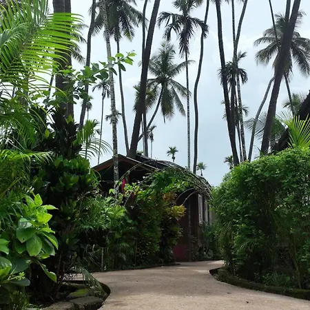 Tranquil Beach Resort-2