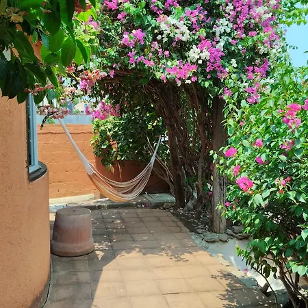 Casa Azul-3