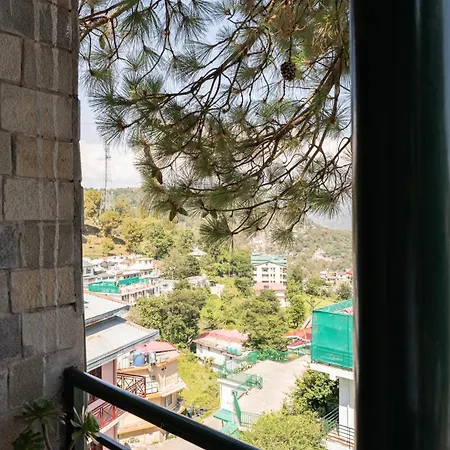 Hotel Kasauli Regency-3