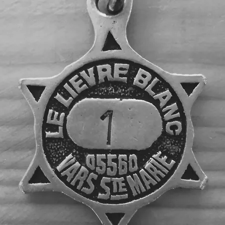 Hôtel Le Lievre Blanc-3