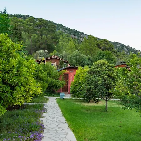 Simurg Evleri Olympos-2