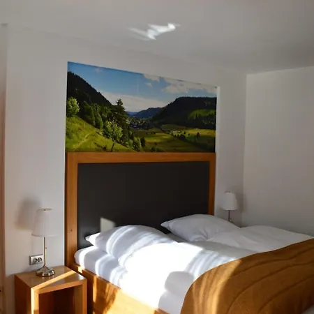 Hotel Silberfelsen-2
