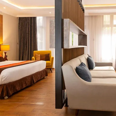 Alba Hotel Meru-2