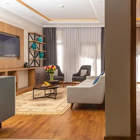 Alba Hotel Meru-3