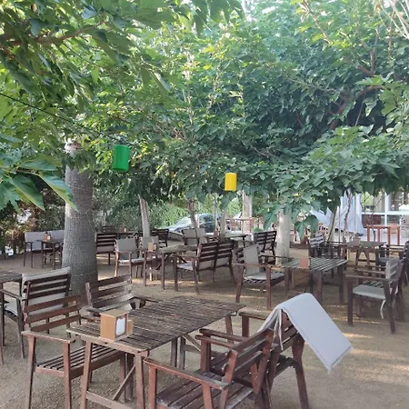 Palmiye Hotel-3