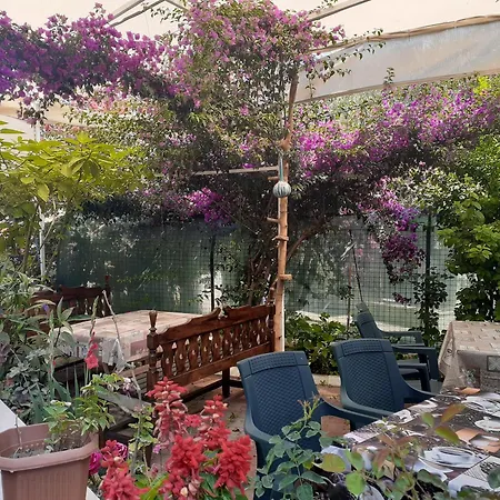 Samos Apart Pension-2