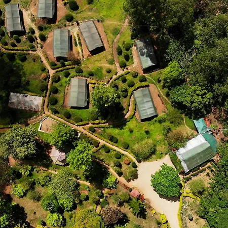 Nature Zone Munnar - A Real Jungle Resort - Authentic Tree House And Premium Tents-2