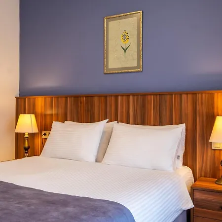 La Wisteria Boutique Hotel Istanbul-2