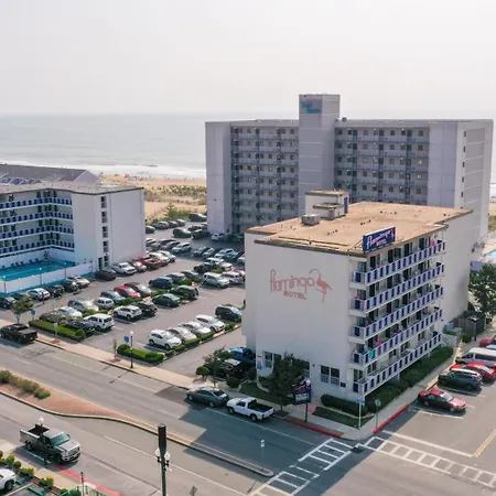 Flamingo Motel-2