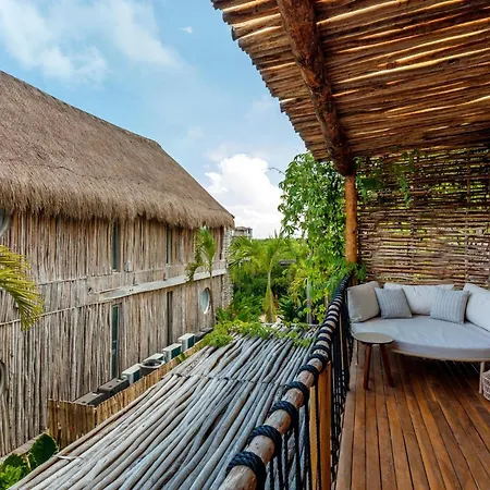 Hotel Shibari - Restaurant & Cenote Club-3
