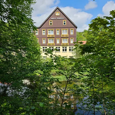 GreenLine Ferienhotel Forelle-3