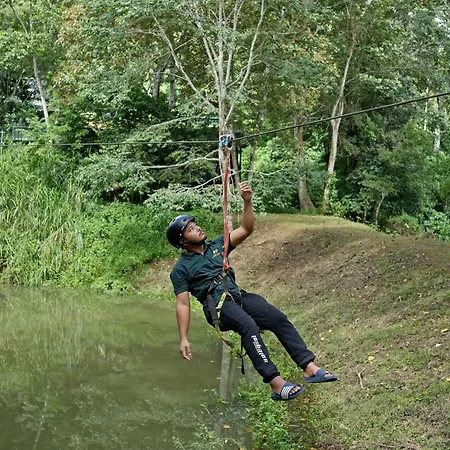 Coffee Acres Resort-3