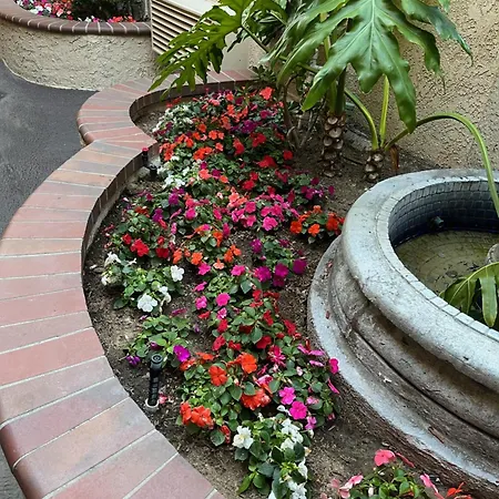 Laguna Inn And Suites-2